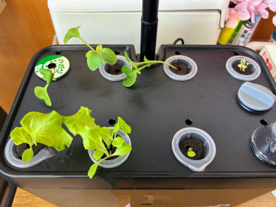 8584A31A-E390-405C-8AA0-7CE0C4D6C363