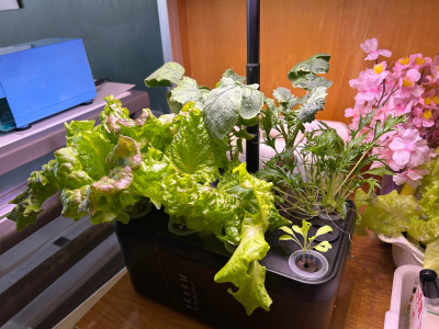 89462E1B-03FA-45D8-A96D-CF7D5AD378EA