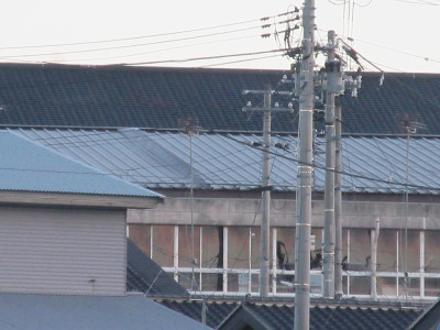 暴風雨２．１３①