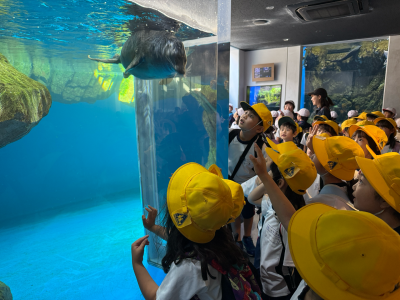 1年1組_がっかつ_渡辺賢亮_見学学習_34