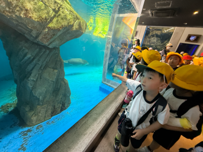 1年1組_がっかつ_渡辺賢亮_見学学習_37